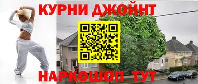 гидра Будённовск