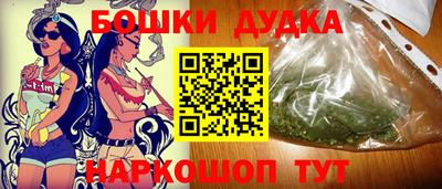 гидра Будённовск