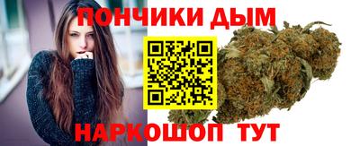 гидра Будённовск