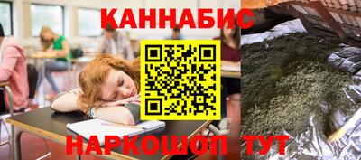 гидра Будённовск