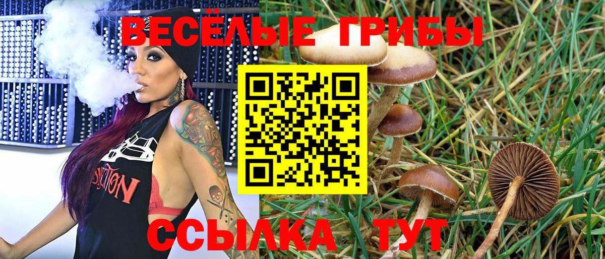 Галлюциногенные грибы Psilocybine cubensis Нижневартовск